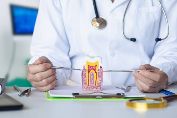 Best Emergency Treatment for Toothache in Park City, TN